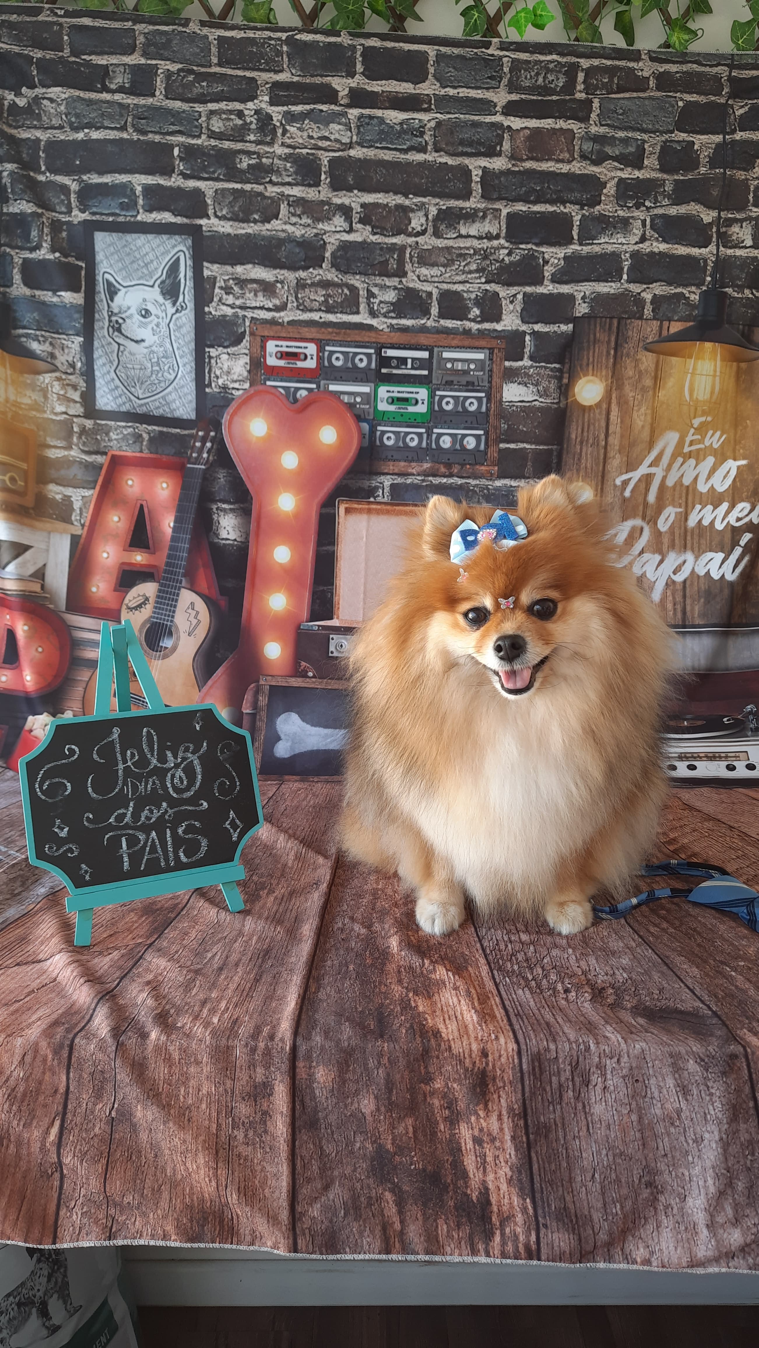 Cachorro 1 - Fotografia